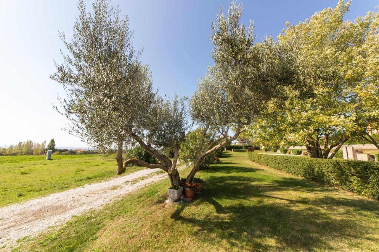 Agriturismo Bella Cima Montefiascone Ngoại thất bức ảnh