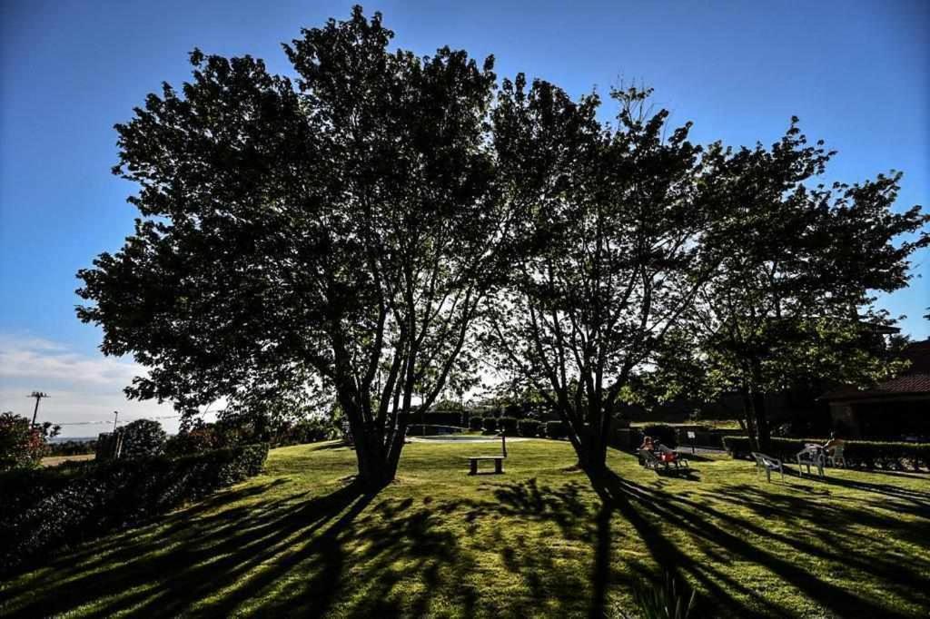 Agriturismo Bella Cima Montefiascone Ngoại thất bức ảnh