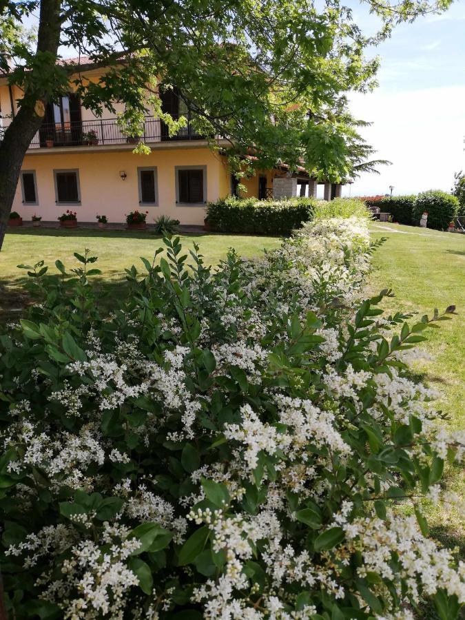 Agriturismo Bella Cima Montefiascone Ngoại thất bức ảnh